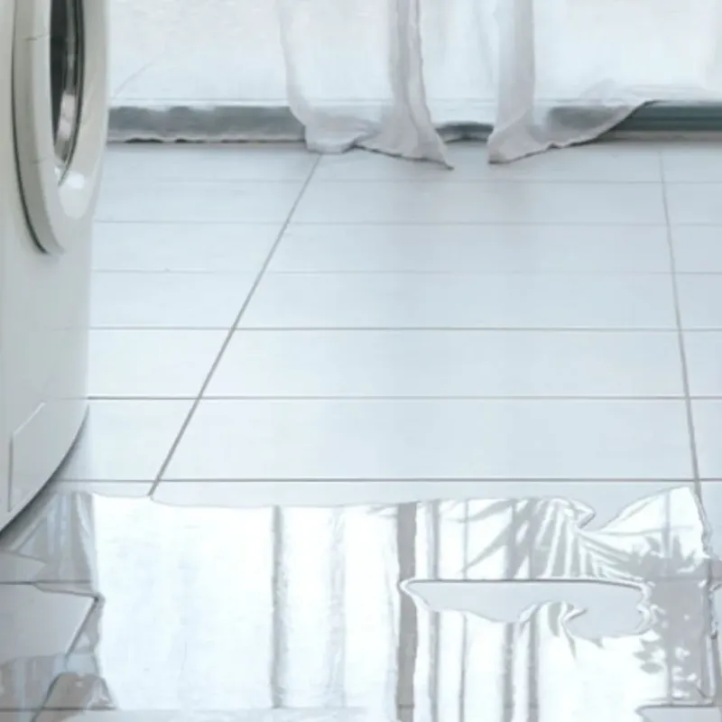 Appliance Leak Cleanup in La Presa, CA
