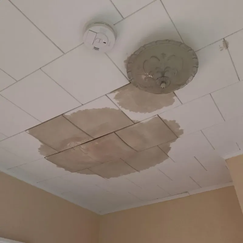 Ceiling Water Damage Repair in La Presa, CA