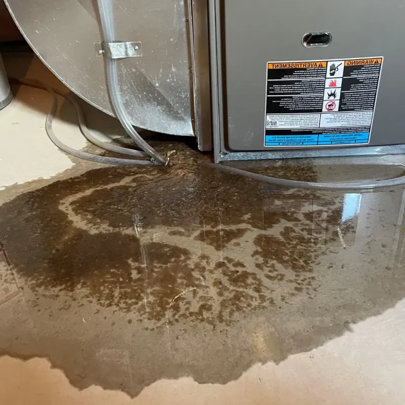 Pipe Burst and Leak Restoration in La Presa, CA