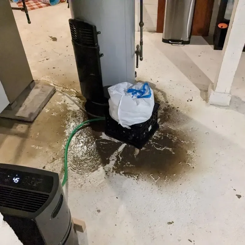 Sewage Backup Cleanup Service in La Presa, CA